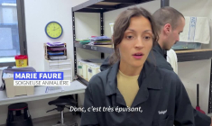 Chaleur et incendies : la faune sauvage aux abois