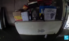 Choléra : Liban, Syrie, Haïti.. comment expliquer la recrudescence de la maladie ces derniers mois ?