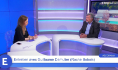 Guillaume Demulier (président de Roche Bobois) : "L'objectif est de faire aussi bien que le chiffre d'affaires record de 2023 !"