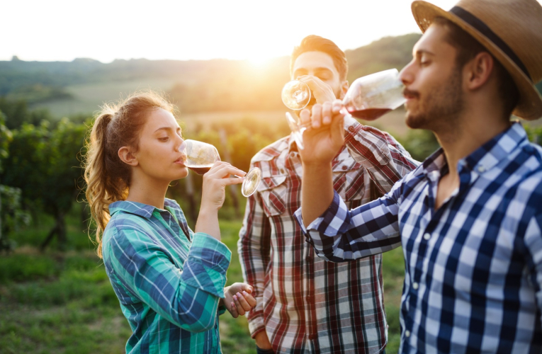 Élaborez votre propre grand cru bordelais (Crédits photo : Shutterstock)