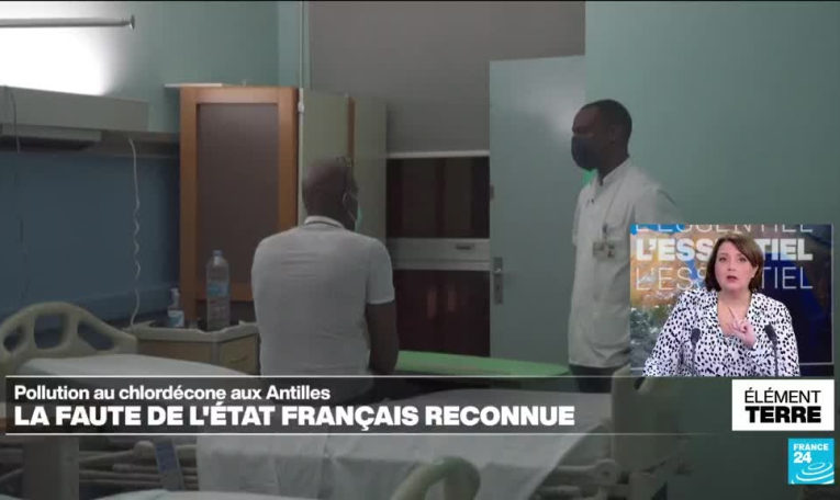 Pollution au chlordécone aux Antilles: la faute de l'Etat reconnue
