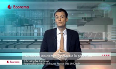 Marchés en mouvement : pensez à la protection !