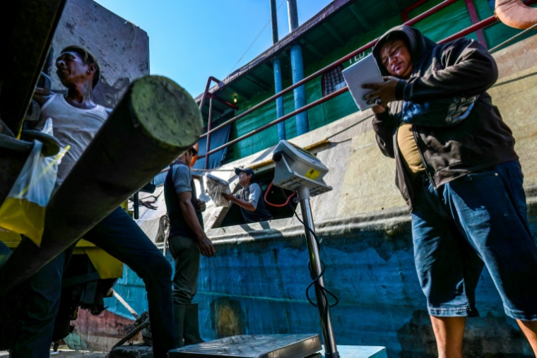 Des membres d'équipage déchargent leur pêche au port de Nusantara, à Kejawan-Cirebon, le 11 juin 2026 en Indonésie ( AFP / Bay ISMOYO )