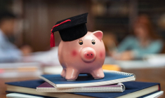 (Crédits photo: © Rido - stock.adobe.com)