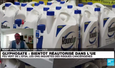 Glyphosate : bientôt réautorisé dans l'UE ?