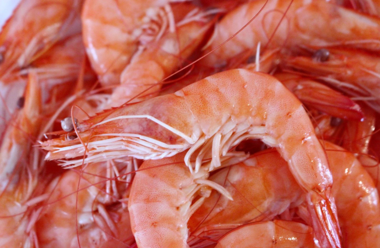 Des crevettes vendues en vrac partout en France sont rappelées par Rappel Conso. (illustration) (magdus / Pixabay)