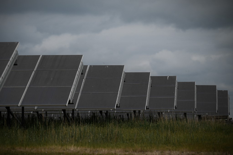 Des panneaux photovoltaïques. (illustration) ( AFP / PHILIPPE LOPEZ )