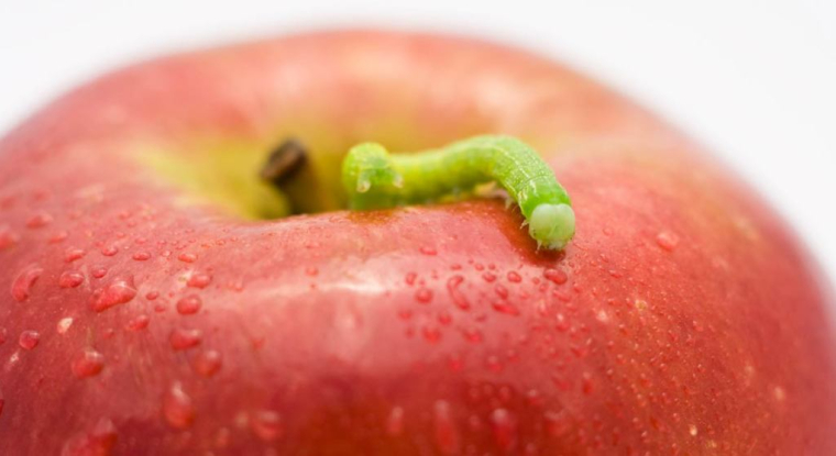 Dans le sillon d'Apple, les valeurs technologiques baissaient fortement à la Bourse de Paris ce matin. (© A. Langager)