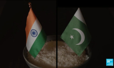 D'où vient le riz basmati ? : l'Inde et le Pakistan se disputent l'appellation du féculent