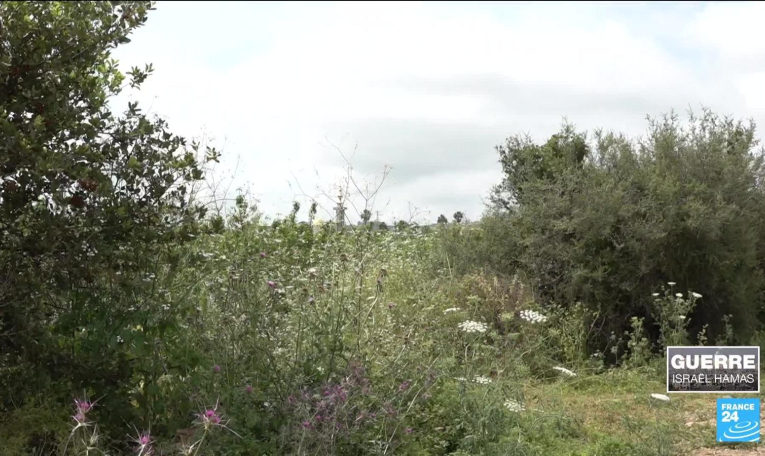 Israël : reportage dans le nord du pays, une zone vidée de ses habitants