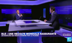 Le blé, la céréale la plus politisée du monde ?