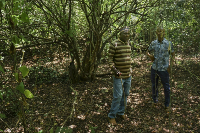 Des villageois dans la forêt de Mrima hill convoitée pour ses réserves, à Lunga-Lunga, dans le sud-est du Kenya près de la frontière tanzanienne, le 26 septembre 2025 ( AFP / Tony KARUMBA )