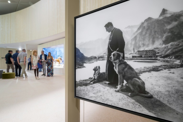 Une vieille photo d'un chien Saint-Bernard et d'un prêtre prise au col du Grand-Saint-Bernard et exposée au musée et parc Barryland avec une exposition collective à Martigny, dans les Alpes suisses, le 26 juin 2025 ( AFP / Fabrice COFFRINI )