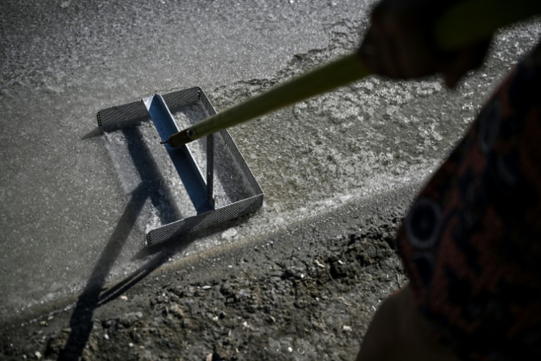 La saunière française Annabelle Poinot récolte la fleur de sel qui forme une fine croûte à la surface de l’eau de mer acheminée dans les bassins d’un marais salant à Château-d’Oléron, sur l’île d’Oléron, dans l’ouest de la France, le 17 juin 2026 ( AFP / Christophe ARCHAMBAULT )