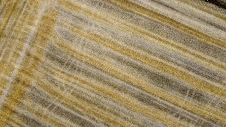 La Commission européenne va aménager sa taxe carbone aux frontières sur les engrais importés, afin d'éviter une hausse des prix dans une période de crise agricole ( BELGA / NICOLAS MAETERLINCK )