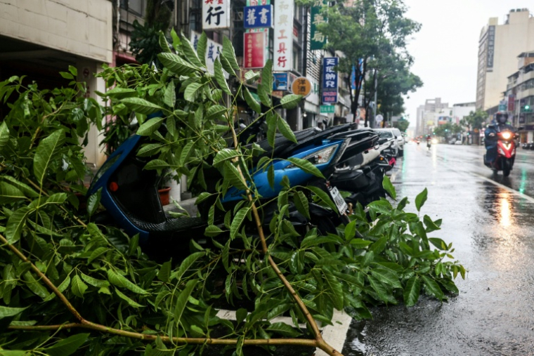 Des arbres couchés après le passage du typhon Podul à Taïwan le 13 août 2025 ( AFP / I-Hwa Cheng )