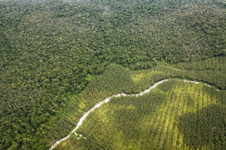 Vue aérienne de la forêt tropicale (g) et de cultures industrielles (d) à Lahei Mangkutup, dans la régence de Kapuas du Kalimantan central, le 11 février 2026 en Indonésie ( AFP / BAY ISMOYO )