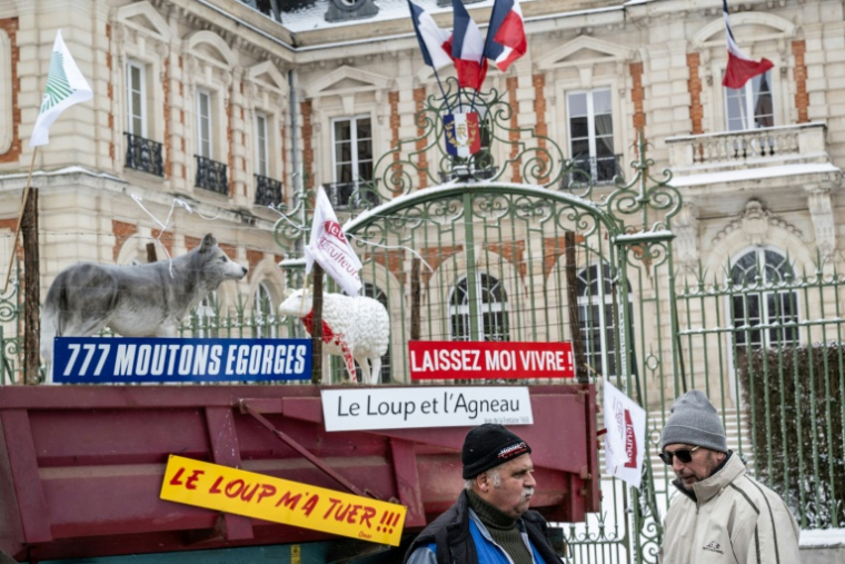 Manifestation d'agriculteurs contre les attaques de loups sur les élevages devant la préfecture de Chaumont en Haute-Marne le 3 janvier 2026 ( AFP / ARNAUD FINISTRE )
