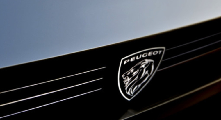 La société d'investissement recule de 25% sur un an. (© Peugeot Invest)
