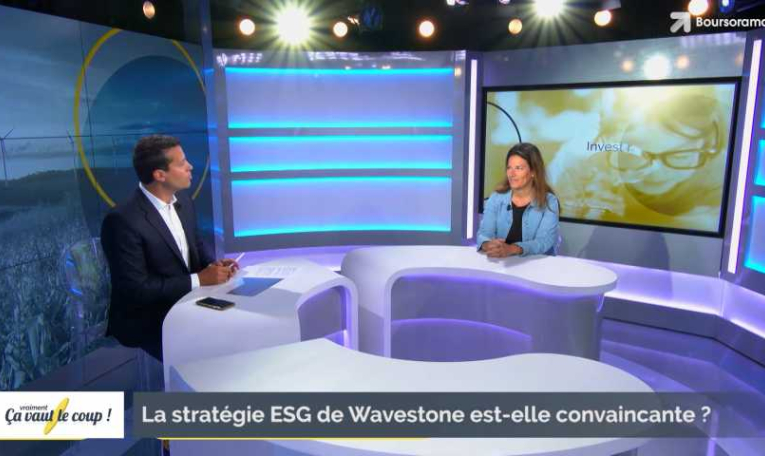La stratégie ESG de Wavestone est-elle convaincante ?