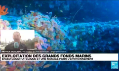 Exploitation des grands fonds marins : enjeu géostratégique et une menace pour l'environnement