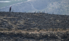 Un homme marche sur ses terres brûlées après un incendie de forêt ayant fait au moins 12 morts, à Alfaix, dans la province d'Almería, le 11 juillet 2026 ( AFP / JOSE JORDAN )