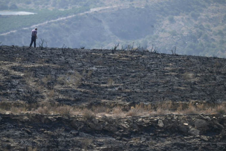 Un homme marche sur ses terres brûlées après un incendie de forêt ayant fait au moins 12 morts, à Alfaix, dans la province d'Almería, le 11 juillet 2026 ( AFP / JOSE JORDAN )