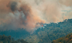 Des aides fiscales pour les victimes d'incendies -iStock-D-Keine