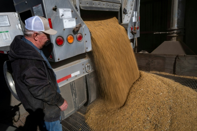 L'agriculteur Travis Hutchison décharge sa cargaison de soja chez chez un négociant en céréales local à Queen Anne, dans le Maryland, le 10 octobre 2025 ( AFP / ROBERTO SCHMIDT )