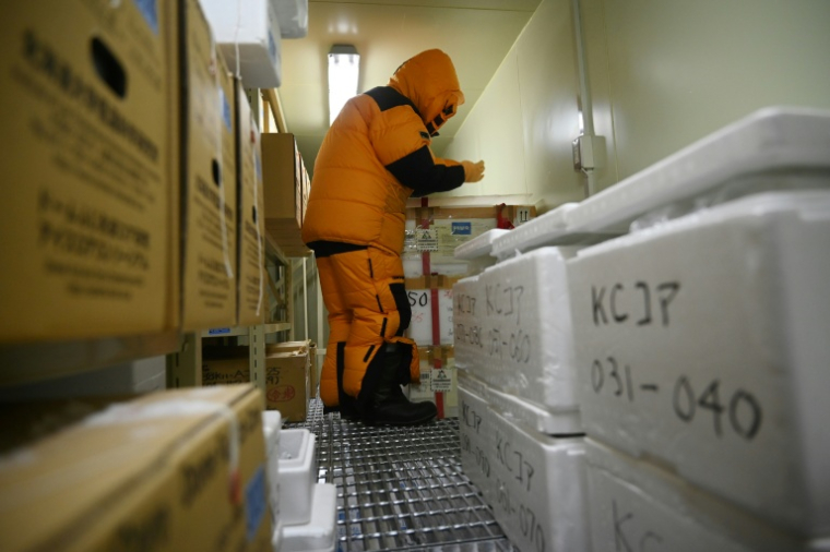 Le glaciologue Yoshinori Iizuka pénètre dans une chambre froide à -50°C pour récupérer un échantillon de glace, à l'Institut des sciences cryogéniques de l'université d'Hokkaido, à Sapporo, au Japon, le 9 décembre 2025 ( AFP / GREG BAKER )