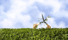 Ayez le réflexe de louer auprès de particuliers au lieu d’acheter. ( crédit photo : Getty Images )