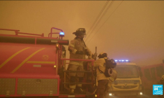 Le Chili dévasté par des incendies de forêt meurtriers