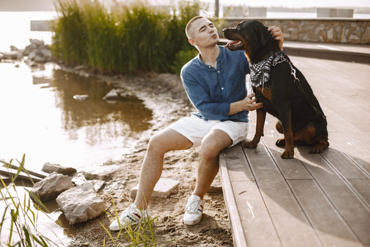 Devenez toiletteur d'animaux le temps d'un été…ou pet sitter même !