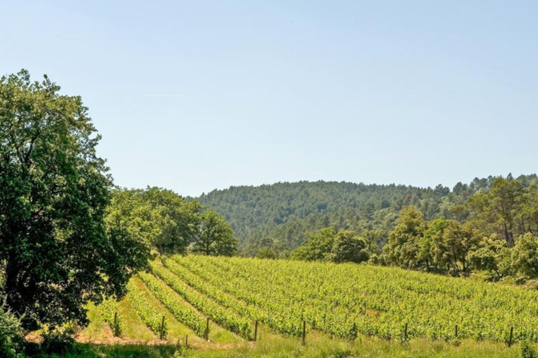 George et Amal Clooney sont les heureux propriétaires du domaine de Canadel.