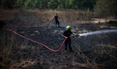 Incendies de forêt dans le sud-est de la France