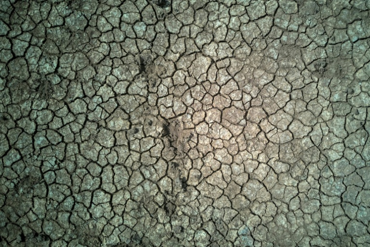 Une terre desséchée dans le sud de Madagascar, le 24 septembre 2026 ( AFP / Razafindrakoto Mamy Nirina )