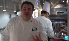 Gastronomie italienne : des méduses dans les assiettes