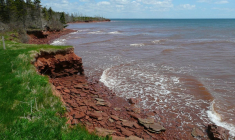 (Crédits photo : pxhere.com -  )