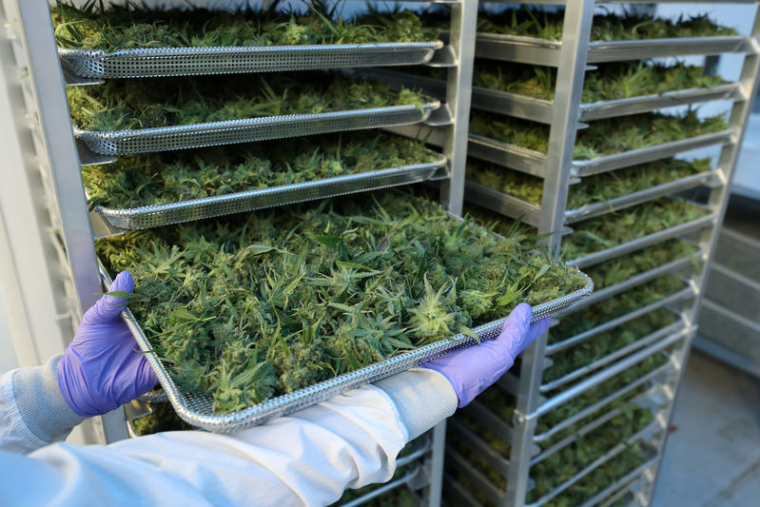 ALTRIA PREND 45% DU PRODUCTEUR DE CANNABIS CRONOS POUR 1.8 MILLARDS DE DOLLARS