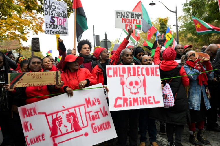 Manifestation organisée par la diaspora d'outre-mer, place Denfert-Rochereau à Paris, le 10 novembre 2024 ( AFP / Bertrand GUAY )