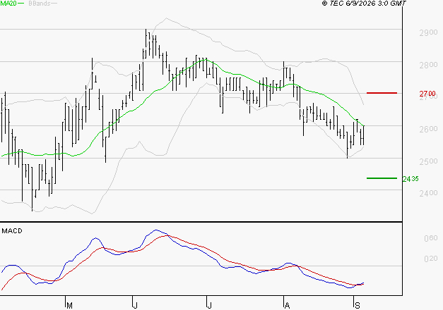 BOIRON SA : Attendre un test du support
