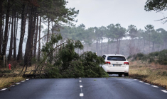 France Assureurs a estimé lundi 13 nvovembre à 1,3 milliard d'euros le coût des tempêtes Ciaran et Domingos, qui ont balayé une partie du pays début novembre. (Ici la Teste-de-Busch, le 5 novembre 2023) ( AFP / THIBAUD MORITZ )
