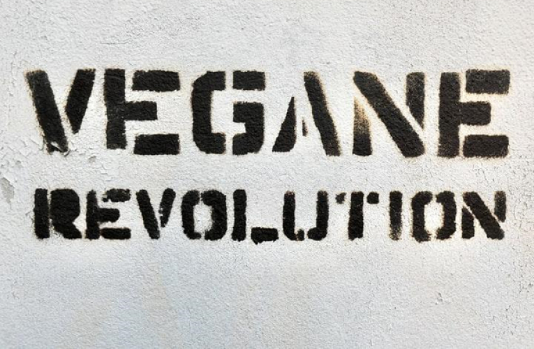 Quelques idées reçues sur le véganisme à présent