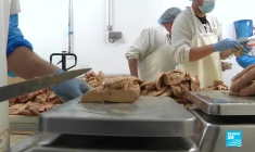 Accords commerciaux : une chance ou une menace pour l’agriculture européenne ? (partie 2)