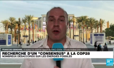 COP28 : à la recherche d'un compromis sur les énergies fossiles