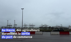 Accord UE-Mercosur: les agriculteurs multiplient les actions