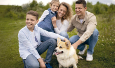 Nos conseils aux abonnés du Revenu. (© Freepik)