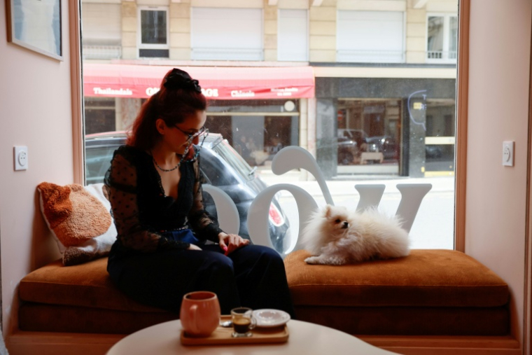 Sarah elGamal assise à côté de son chien poméranien Loulou au café pour chiens "Casa del Doggo" à Paris, le 7 mai 2026 ( AFP / Xavier GALIANA )