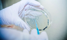 (Crédits photo : Flickr - hcc public information office )