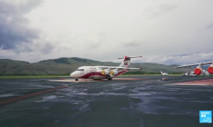 Les Canadiens contraints d’apprendre à vivre avec les "mégafeux"